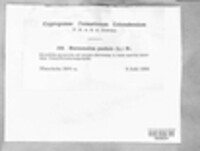 Image Associated With the Occurence